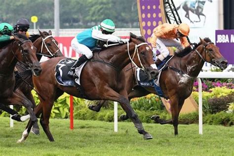 bhrad dividendazo racing program today